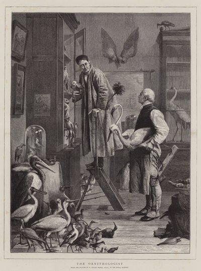 De Ornitholoog door Henry Stacey Marks